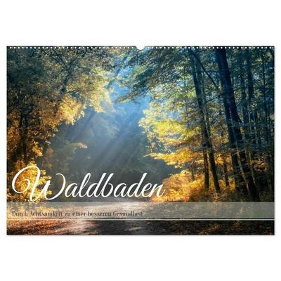 Waldbaden - Durch Achtsamkeit zu einer besseren Gesundheit (Wandkalender 2027 DIN A2 quer), CALVENDO Monatskalender