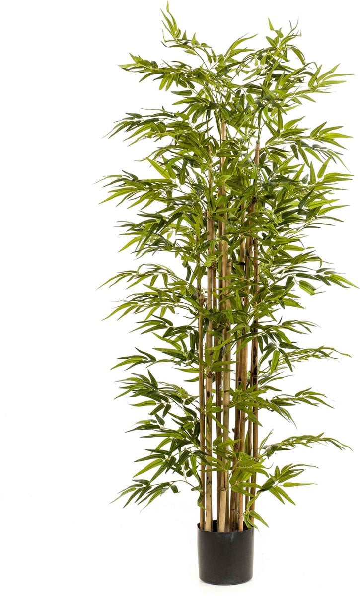 Emerald Kunstplant Bamboe Deluxe 175cm - Groene kunstplant voor binnen