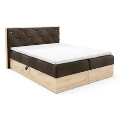 BOXBETT Helios