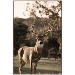 La Casa »Deer with tree« Wandbild 80x120 cm gerahmt
