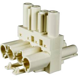Adels-Contact 167154 T-Verteiler T-Verteiler Gesamtpolzahl: 4 + PE 20 A Weiß 100 St. Piece