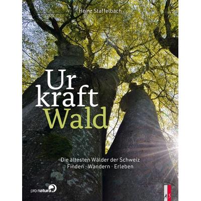 Urkraft Wald, Gebundene Ausgabe von Heinz Staffelbach, As Verlag, 978-3-03913-038-2