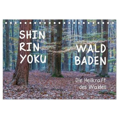 Shinrin yoku - Waldbaden 2027 (Tischkalender 2027 DIN A5 quer), CALVENDO Monatskalender
