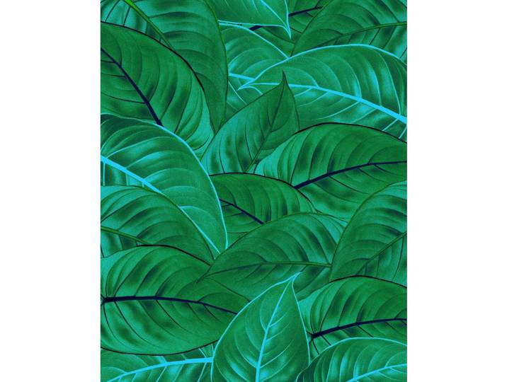 VLIESTAPETE JUNGLE LEAVES