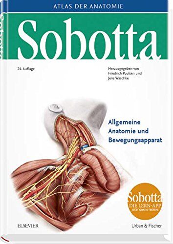 Friedrich Paulsen - Sobotta, Atlas der Anatomie Band 1: Allgemeine Anatomie und Bewegungsapparat - Preis vom 13.10.2026 11:25:28 h