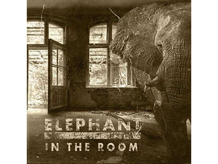 Elephant in the Room