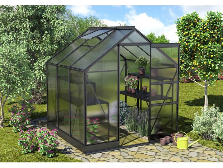 Gewächshaus VITAVIA Apollo 3800 , schwarz, B:195cm T:199cm, Gewächshäuser, Gewächshaus