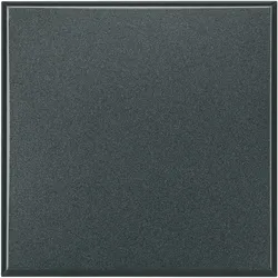 Legrand HS4951 Blindabdeckung 2 mod