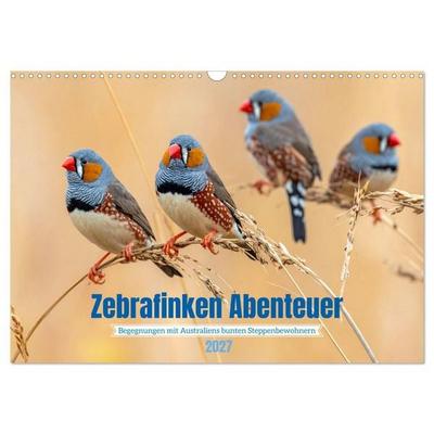 Zebrafinken Abenteuer (Wandkalender 2027 DIN A3 quer), CALVENDO Monatskalender