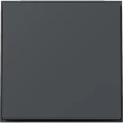 Gira 329667 Wippe Gira TX_44 (WG UP) Anthrazit
