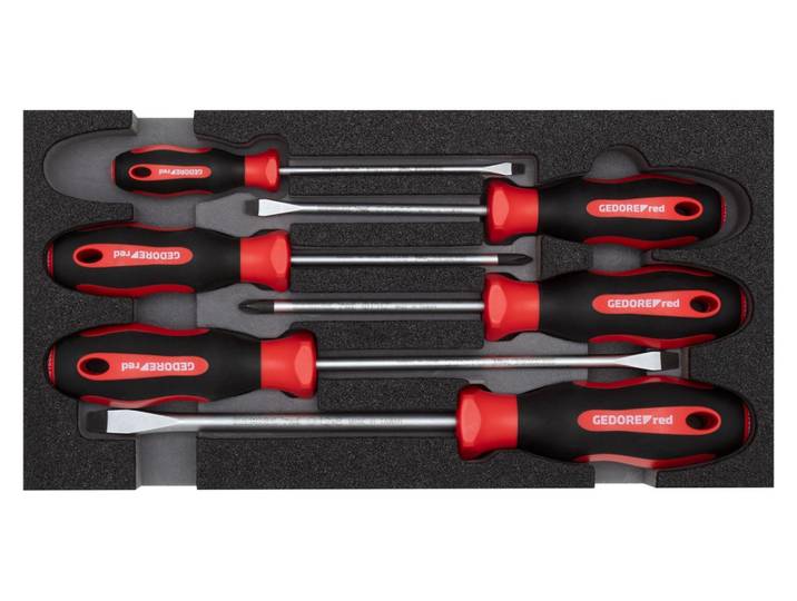 GEDORE red R22150013 Jeu de tournevis PH+SL 2/6 CT-Modul 6 pièces\, 3301712