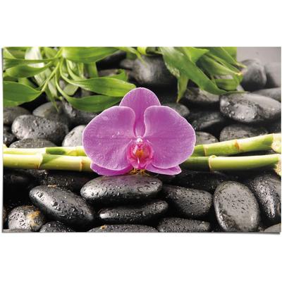 Poster REINDERS "Orchidee", rosa (farbe bild(er): rosa), B:91,5cm H:61cm, Papier, Bilder, Poster