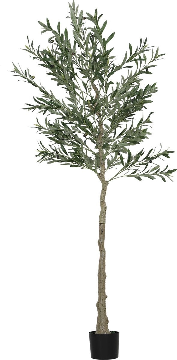 Kunstmatige olijfboom 180 cm - Decoratieve kamerplant voor huis en kantoor
