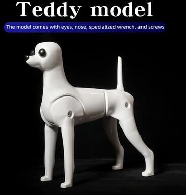 Inspired Living Teddy Dog Grooming Practice Model For Pet Styling Training teddy Model