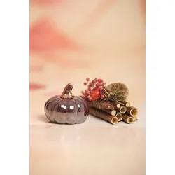 Minikürbis Boglia 8cm red plum