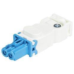 Wieland Electric 91.921.2353.0 Steckverbinder