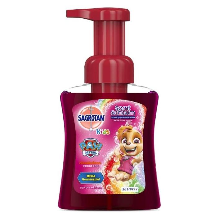 Sagrotan Samt Schaum (Flüssigseife, 250 ml) (3143966)