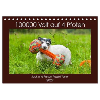 100000 Volt auf vier Pfoten - Jack und Parson Russell Terrier (Tischkalender 2027 DIN A5 quer), CALVENDO Monatskalender