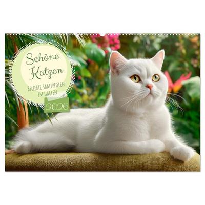 Schöne Katzen. Beliebte Samtpfoten im Garten (Wandkalender 2026 DIN A2 quer), CALVENDO Monatskalender