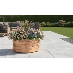 Sechseckiger Pfanztrog Holz – Pflanzkübel Holz aus Douglasie – Blumenkübel Douglasie – Pflanzkasten Holz für kreative Gartengestaltung