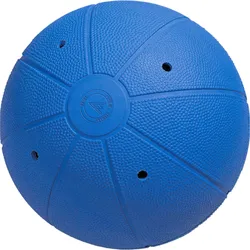 WV Ball Goalball