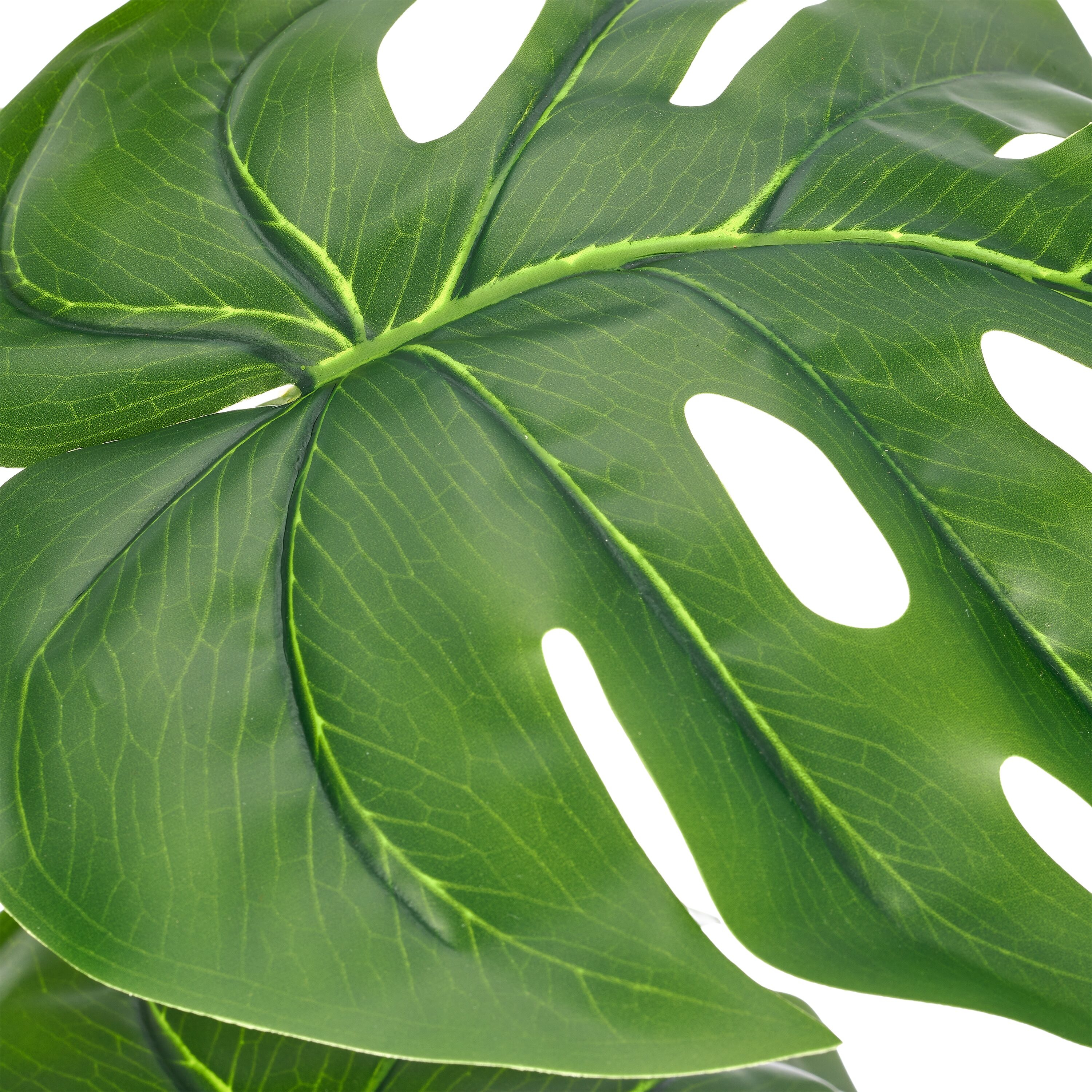Creativ green "Splitphilodendron" mit naturgetreuem Blattwerk