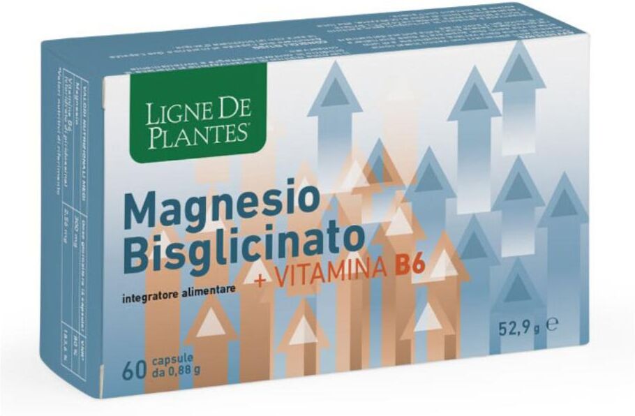 NATURA SERVICE Srl LIGNE MAGNESIO BIS+VITB6 60CPS
