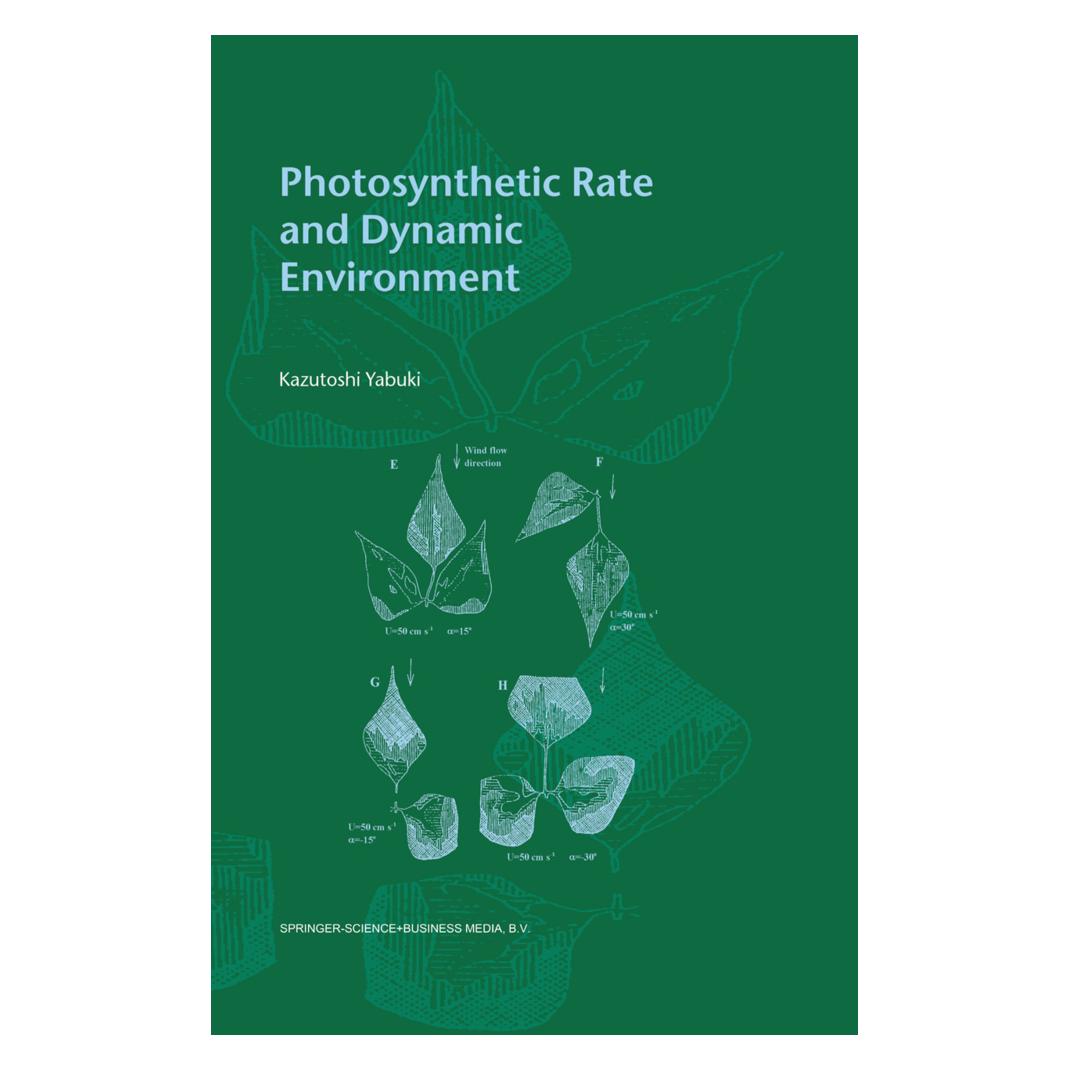 Springer Photosynthetic Rate and Dynamic Environment (Englisch, Softcover, Kazutoshi Yabuki) (55374334)