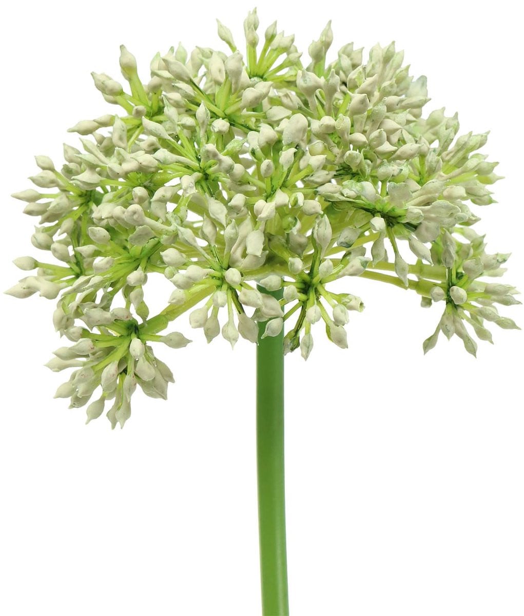 Viana Allium kunstbloem wit 55 cm