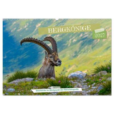 Bergkönige - Steinböcke im Blickpunkt der Naturforografie (Wandkalender 2027 DIN A2 quer), CALVENDO Monatskalender