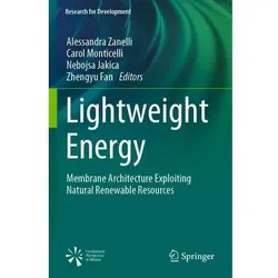 Lightweight Energy, Fachbücher