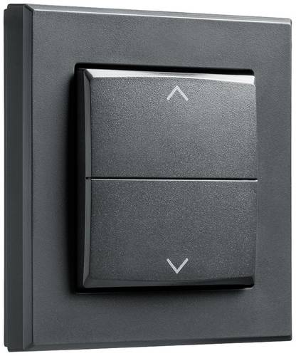 Homematic IP Tasterwippe HmIP-BRA-A