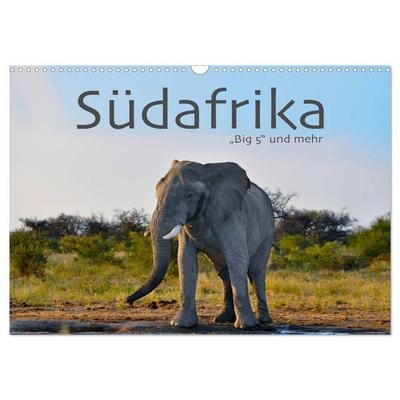 Südafrika - Big 5 und mehr (Wandkalender 2027 DIN A3 quer), CALVENDO Monatskalender