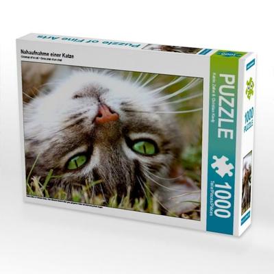 Nahaufnahme einer Katze (Puzzle)