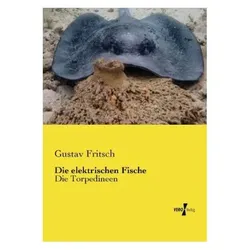Die elektrischen Fische, Fachbücher von Gustav Fritsch