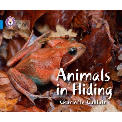 Animals in Hiding, Taschenbuch von Charlotte Guillain, HarperCollins, 978-0-00-751285-0