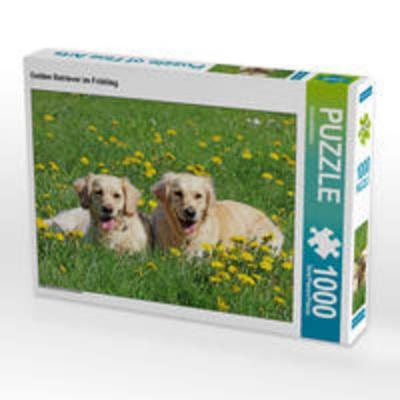 CALVENDO Puzzle Golden Retriever im Frühling 1000 Teile Lege-Größe 64 x 48 cm Foto-Puzzle Bild von SchnelleWelten