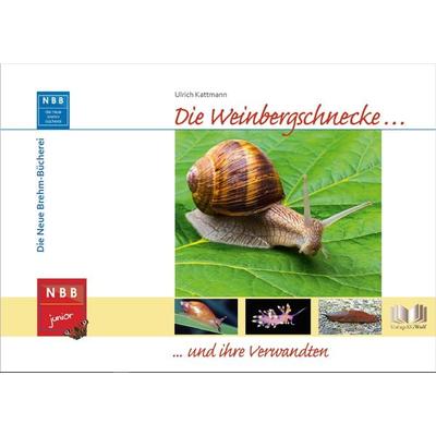 Die Weinbergschnecke und ihre Verwandten, Gebundene Ausgabe von Ulrich Kattmann, Neue Brehm-Bücherei UG (haftungsbeschränkt), 978-3-89432-275-5