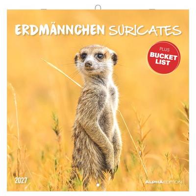 Erdmännchen 2027