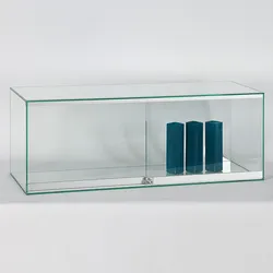 Ganzglas Vitrine Aufsatzvitrine klein Dialog DLG-56A