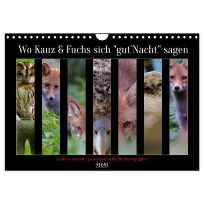 Wo Kauz & Fuchs sich 'gut`Nacht' sagen (Wandkalender 2026 DIN A4 quer), CALVENDO Monatskalender