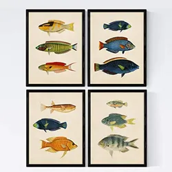 POSTER Set mit 4 Karibik von 12 verschiedenen Fischen A3 Rahmenlos