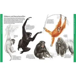 Der grosse Tieratlas, Kinderbücher