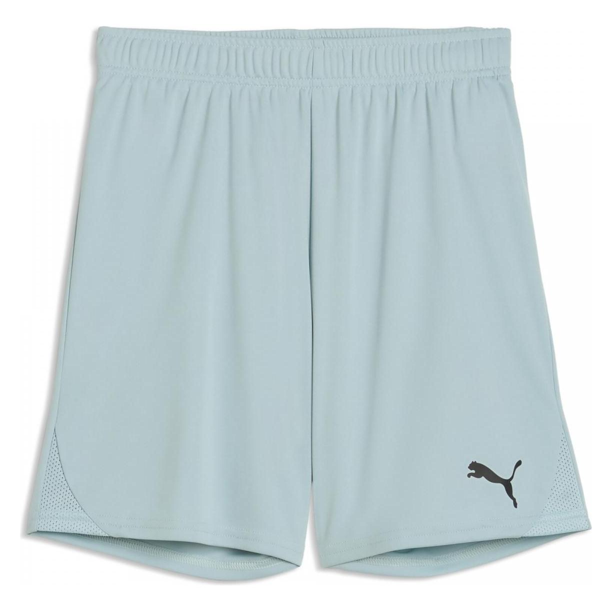 Puma teamGOAL Shorts Jr (128) (705753)