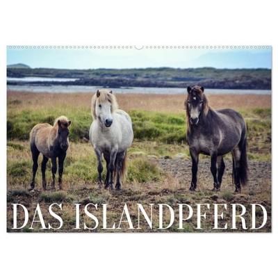 Das Islandpferd (Wandkalender 2027 DIN A2 quer), CALVENDO Monatskalender