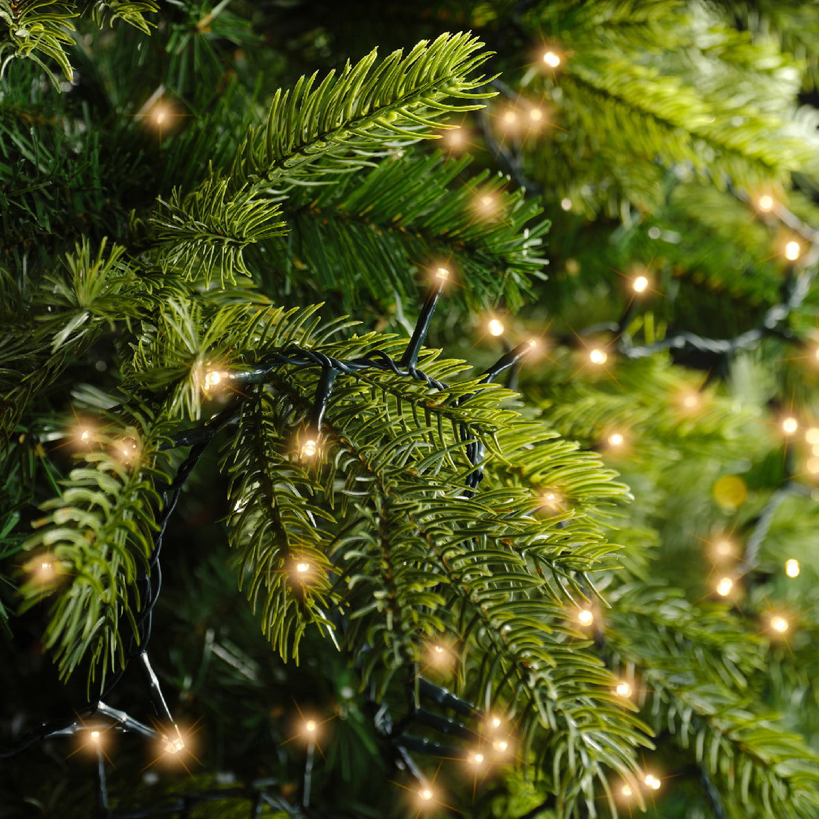 Lumineo Kerstverlichting LED Compact Rice Lights 22,50 meter 1000L