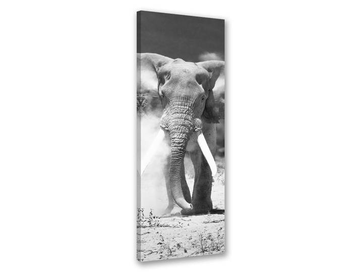 Feeby Wandbild afrikanischer elefant schwarz und weiß, Grau, Baum/Pflanze/Natur, Rechteckig, 30x90 cm, Bilder & Rahmen, Bilder, Leinwandbilder