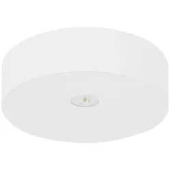 Fischer LED-Sicherheitsleuchte AXD815M