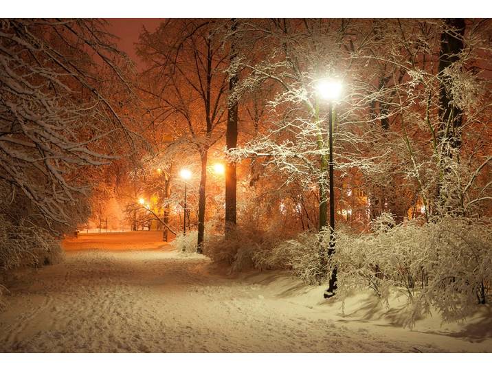 Fototapete PAPERMOON Park im Winter , bunt, B:3m L:2,23m, Vlies, Tapeten, Fototapete