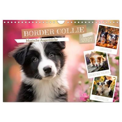 Border Collie - Magische Augenblicke (Wandkalender 2027 DIN A4 quer), CALVENDO Monatskalender